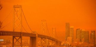 El futuro no promete miel sobre hojuelas