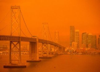 El futuro no promete miel sobre hojuelas