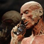 The plastinated body of a man is pictured during an exhibition preview at Naturhistorisches Museum in Vienna