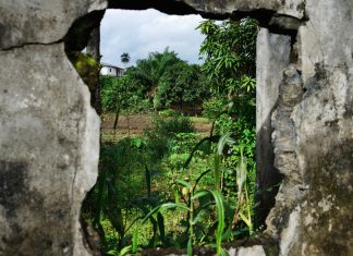 Las realidades que habitan el mundo en la mirada de Samuel Aranda