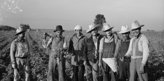 Ex braceros: Historia de un ahorro sin retorno. Despojo salarial, olvido y reivindicación histórica