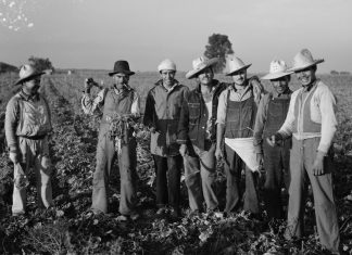 Ex braceros: Historia de un ahorro sin retorno. Despojo salarial, olvido y reivindicación histórica