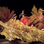 amoebiasis-or-vegetables.jpgLarge