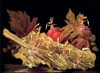 Publicidad surrealista: Remedios Varo y las piezas que hizo para Bayer