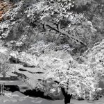 07.tatsuo-horiuchi-excel-art-big