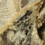 crystal-art-crystallized-book-alexis-arnold-13