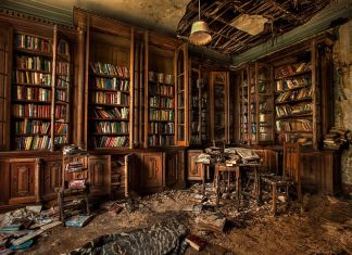 Las extraordinarias bibliotecas personales de grandes escritores