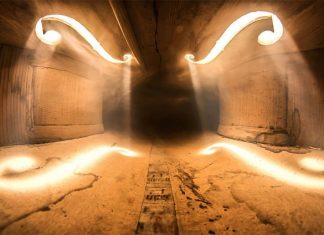 Adrian Borda, el fotógrafo que retrata el mundo interior de los violines