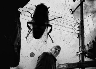 Los mejores exponentes de fotografía callejera en «Lens Culture Street Photography Awards»