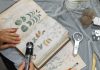 Los hallazgos sorprendentes en el códice Voynich: el manuscrito más misterioso del mundo, logra ser descifrado