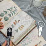 Códice-Voynich-book-libro-yale-misterio (1)