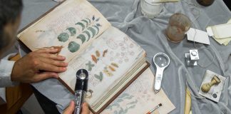 Los hallazgos sorprendentes en el códice Voynich: el manuscrito más misterioso del mundo, logra ser descifrado