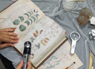 Los hallazgos sorprendentes en el códice Voynich: el manuscrito más misterioso del mundo, logra ser descifrado