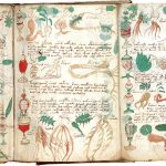 codice-voynich-farmacologico_1e3648d0