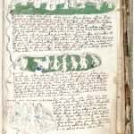 codice-voynich-mujeres_67059843