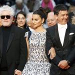 dolor-y-gloria-cool-768×406