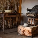 3A0E0D7600000578-0-image-m-36_1478257275781