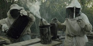 «¿Qué les pasó a las abejas?» El documental que denuncia el daño irreversible provocado por Monsanto en territorio Maya