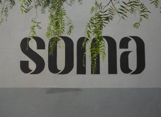 «Rat Attack!», la única miniserie de arte contemporáneo conducida por ratas