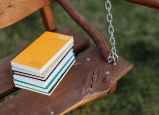 «Libritos», un relato de la escritora argentina Genoveva Arcaute