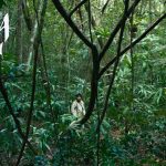 116011498_101011185043967_2642920001729137917_o