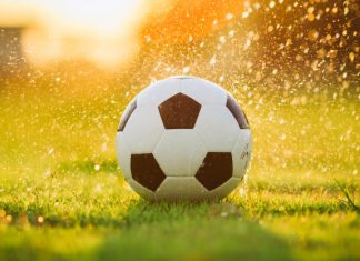 Fútbol y escritura de mujer: del cabezazo de Zidane a la muerte de Maradona