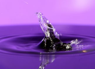 De la saliva y su relación con algunas cosas