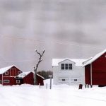 135784627_10218924978781376_4216619363610414947_n