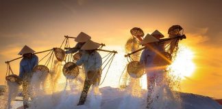 Historia de la sal: montañas, guerras y moneda de cambio