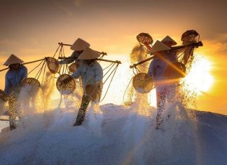 Historia de la sal: montañas, guerras y moneda de cambio