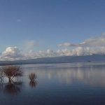 DSC04030