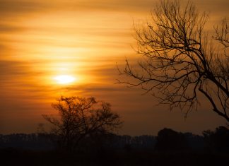 Instantáneas de Los Bosquecitos, Argentina