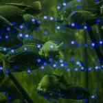 0013_Acuario_Gdl_MG_1889