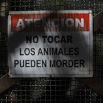 005_Zoologico gdl__MG_3477-2