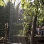009_Zoologico_Gdl_MG_8347