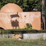 010_Zoologico de Gdl__MG_3756-2