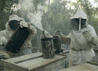 Los estrenos del cine mexicano en el mes de mayo