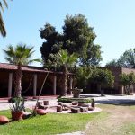 151158859_114439147239323_3826565526946941005_n