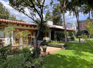 “El Sur», una alternativa a la oferta de lugares para la creación artística en México