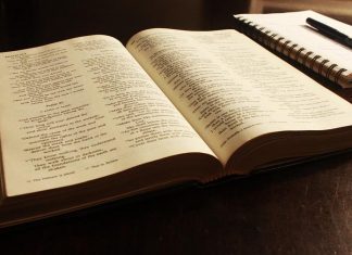 Encrucijadas: la escritura como agente dinámico de cambio