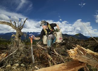 ENTREVISTA | Rita Leistner, entre el fotoperiodismo y su documental «Forest for the Trees»
