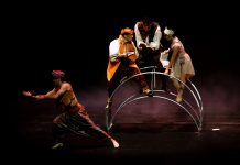 Con espectáculo de Circo Dragón da inicio el Festival Papirolas 2022