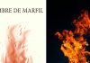 «Lumbre de marfil», de Jorge Cappa, poemas con el pulso arrebatado del fuego