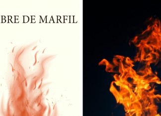 «Lumbre de marfil», de Jorge Cappa, poemas con el pulso arrebatado del fuego