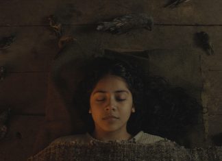 ‘Brujería’, la resistencia cultural indígena durante el siglo XIX en la isla de Chiloé, Chile