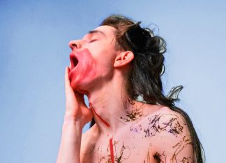 La conducta social IV