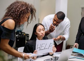 La conducta social VI