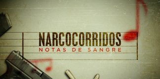 Narcocorridos: la voz de los peones del narco