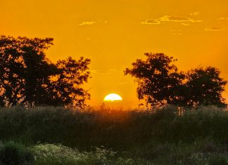 Primavera en Los Bosquecitos, Argentina
