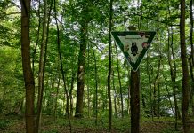 Una escapada a Grunewald, el bosque más grande de Berlín